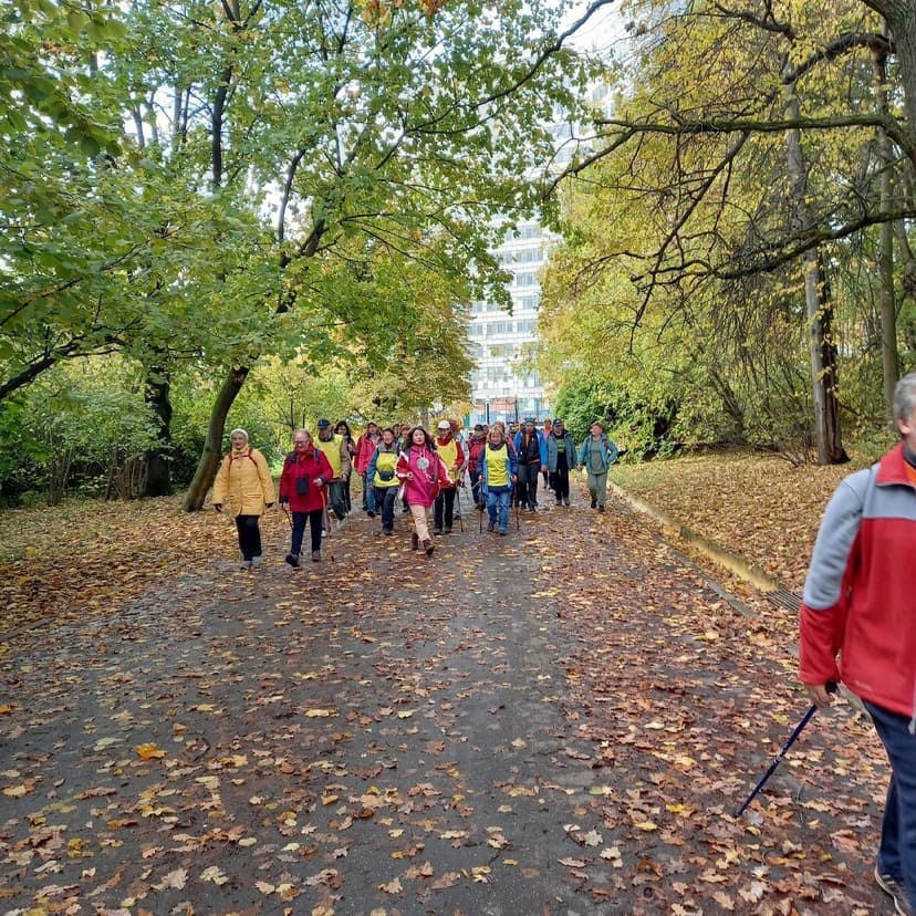 Золотая осень — фото 13